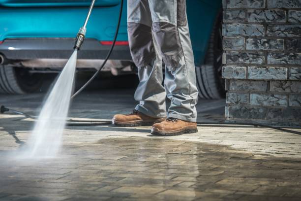 Best Boat and Dock Cleaning  in Ddanelle, AR
